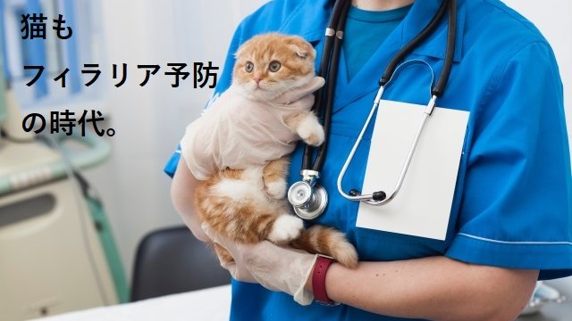 猫のフィラリア予防