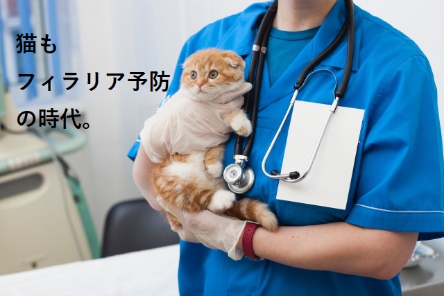 猫のフィラリア予防