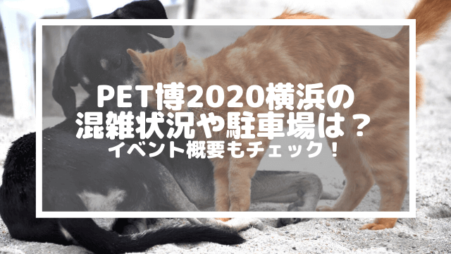 Pet博2020横浜の混雑状況や駐車場は？イベント概要もチェック！